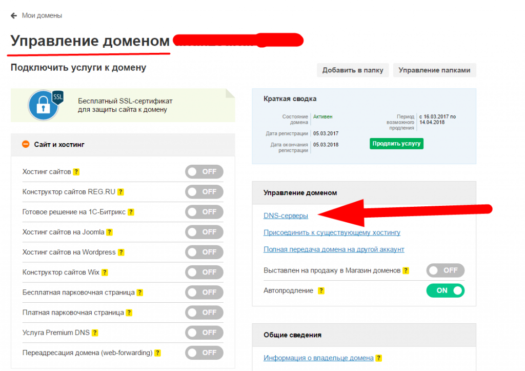 Подключить домен ru. Бесплатные домены для сайта. Подключение к WORDPRESS. Как купить подключить домен. Как подключить свой домен к gamestore.