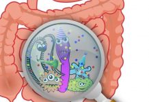 Найдено более 6,000 кишечных бактерий, устойчивых к антибиотикам