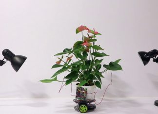 Специалисты из МТИ создали аугментированный цветок Elowan