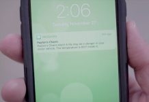 VI Enterprise создала умный мониторинговый датчик Payton’s Charm