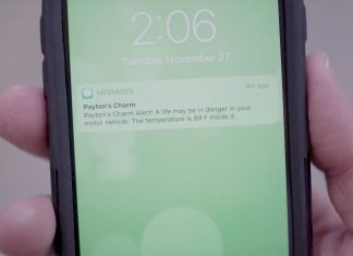 VI Enterprise создала умный мониторинговый датчик Payton’s Charm