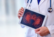 Компьютерные почки помогают в диагностике заболеваний