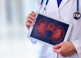 Компьютерные почки помогают в диагностике заболеваний