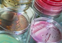 Найден новый способ синтезирования антибиотиков