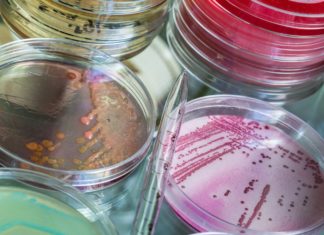 Найден новый способ синтезирования антибиотиков