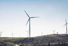 В США темпы роста возобновляемой энергетики опережают угольную