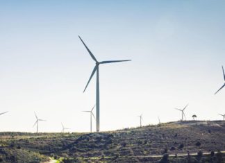 В США темпы роста возобновляемой энергетики опережают угольную