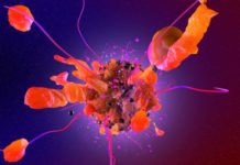 Найден новый способ борьбы с раковыми клетками