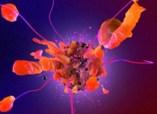 Найден новый способ борьбы с раковыми клетками