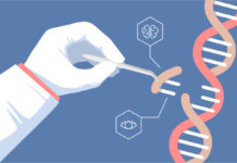 Создан необычный “шреддер” ДНК для технологии CRISPR