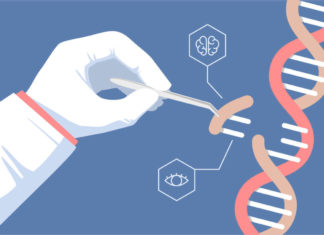 Создан необычный “шреддер” ДНК для технологии CRISPR