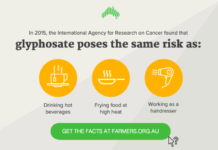 Глифосат признан опасным для людей гербицидом