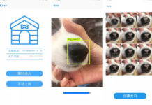 Стартап Megvii создал приложение, распознающее собак по их мордам