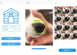 Стартап Megvii создал приложение, распознающее собак по их мордам