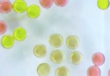 Создан новый тип жидкого магнита при помощи 3D-печати