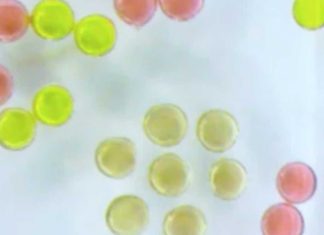 Создан новый тип жидкого магнита при помощи 3D-печати