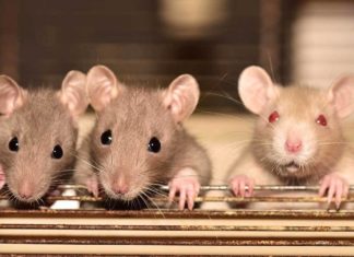 Вино может помочь астронавтам добраться до Марса