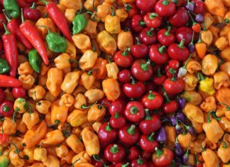 ГМО продукты не так опасны, как думает общественнность