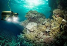 Создан новый генератор на морской воде