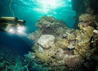 Создан новый генератор на морской воде