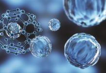 Наночастицы могут справляться с опасной мозговой амебой