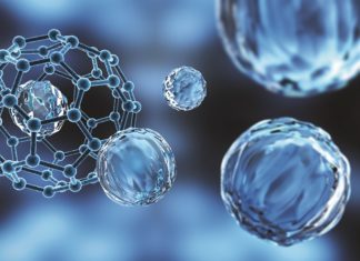 Наночастицы могут справляться с опасной мозговой амебой