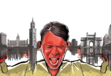 Объем мозга дельфинов уменьшается из-за уровня шума в океане