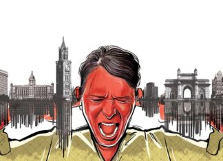 Объем мозга дельфинов уменьшается из-за уровня шума в океане