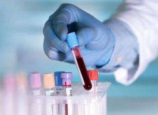 Familiy Tree создает новый домашний ДНК-тест