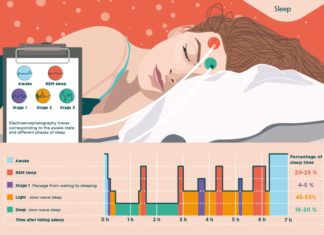 Мозг проходит через больше фаз сна, чем думали ранее