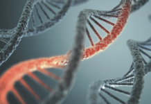 Изучен один из древнейших ретровирусов