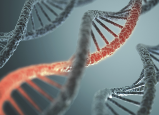 Изучен один из древнейших ретровирусов