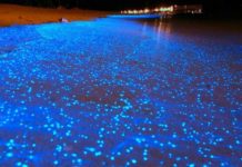 Синий фосфор приобретает новые уникальные свойства