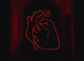 Представлен дешевый в изготовлении гидрогель для сердца