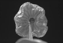 НАСА раскрывает подробности о спецпарашюте для Mars 2020