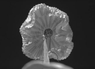 НАСА раскрывает подробности о спецпарашюте для Mars 2020