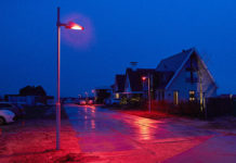 В Голландии оформили необычный проект по сохранению популяции летучих мышей