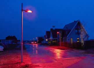 В Голландии оформили необычный проект по сохранению популяции летучих мышей