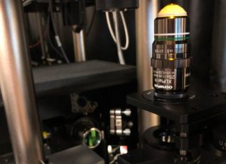 Ученые нашли способ уменьшить структуры объектов до наноуровня