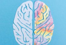 Серотонин повышает степень обучаемости