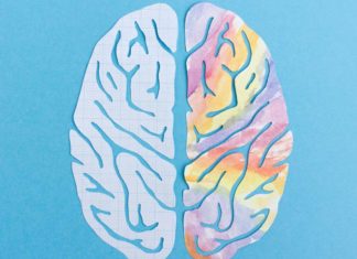 Серотонин повышает степень обучаемости