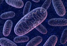 Раскрыты некоторые аспекты болезни Хантингтона