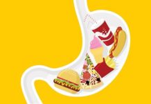 Западная диета может быть опасной для беременных