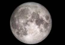 SpaceX помогает НАСА с проектом Artemis