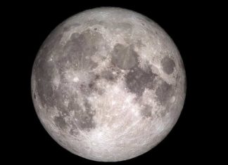 SpaceX помогает НАСА с проектом Artemis