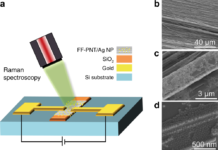 Создана уникальная пленка для обнаружения разрывов структур