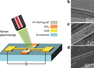 Создана уникальная пленка для обнаружения разрывов структур