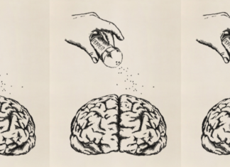 Найдена новая взаимосвязь между вкусовыми рецепторами и отделом мозга