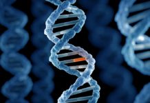 Найдена женщина с уникальной “болевой” мутацией