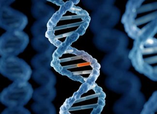 Найдена женщина с уникальной “болевой” мутацией